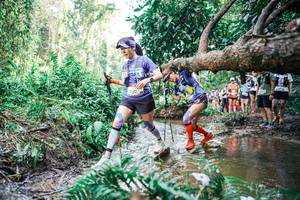 BIB: 
                            <button type="button" onclick="openModal(25516085)" class="btn btn-primary btn-sm float-right btn-popup" data-toggle="modal" data-target=".modal-high-quality">
                        <i class="fas fa-shopping-cart"></i> Add to Cart
                    </button>
                                            <button type="button" onclick="isThisMe(25516085, true)" class="btn btn-success btn-sm float-right btn-popup btn-isme hidden" data-toggle="tooltip" data-placement="bottom" title="นี่คือรูปของคุณใช่ไหม คลิกที่นี่เพื่อเอาเข้าอัลบั้ม">
                        <i class="fas fa-plus"></i> Add to album
                    </button>
                    <button type="button" onclick="isThisMe(25516085, false)" class="btn btn-warning btn-sm float-right btn-popup btn-isnotme hidden">
                        <i class="fas fa-ban"></i> Remove from album
                    </button>